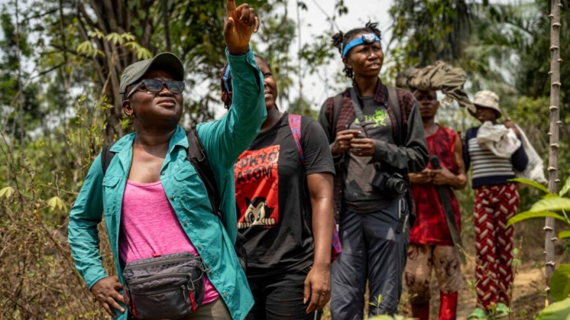 How the winners are challenging fossil fuel projects