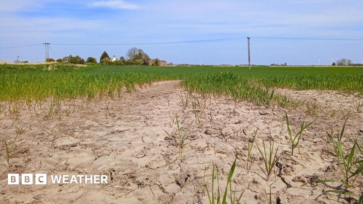 Wales Enters Drought Plan as Rainfall Plummets