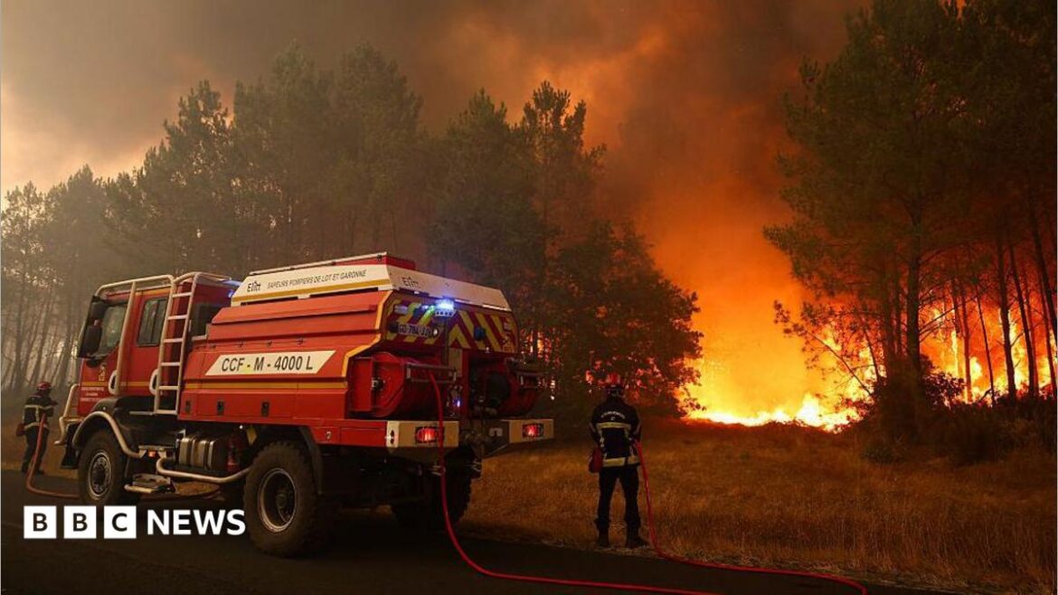Firefighters try to extinguishing fires burning trees using a wildland water truck. The flames can be seen in the forested