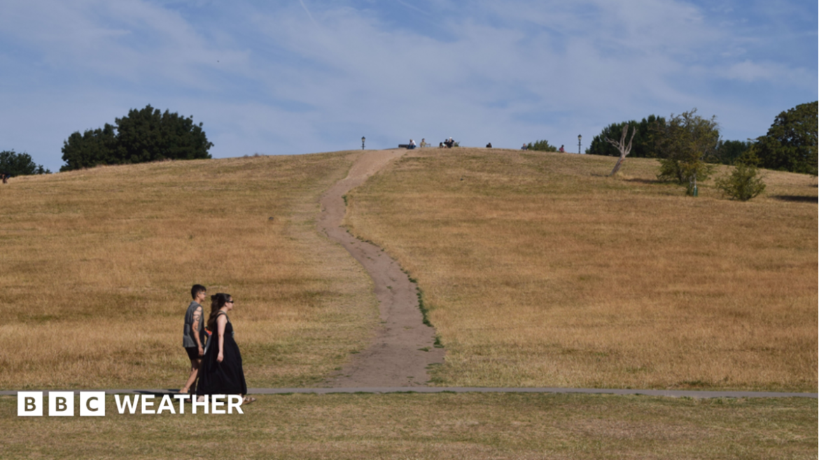 A man and a woman walk along a brown, parched Primrose Hill following an extremely dry spell of weather and numerous