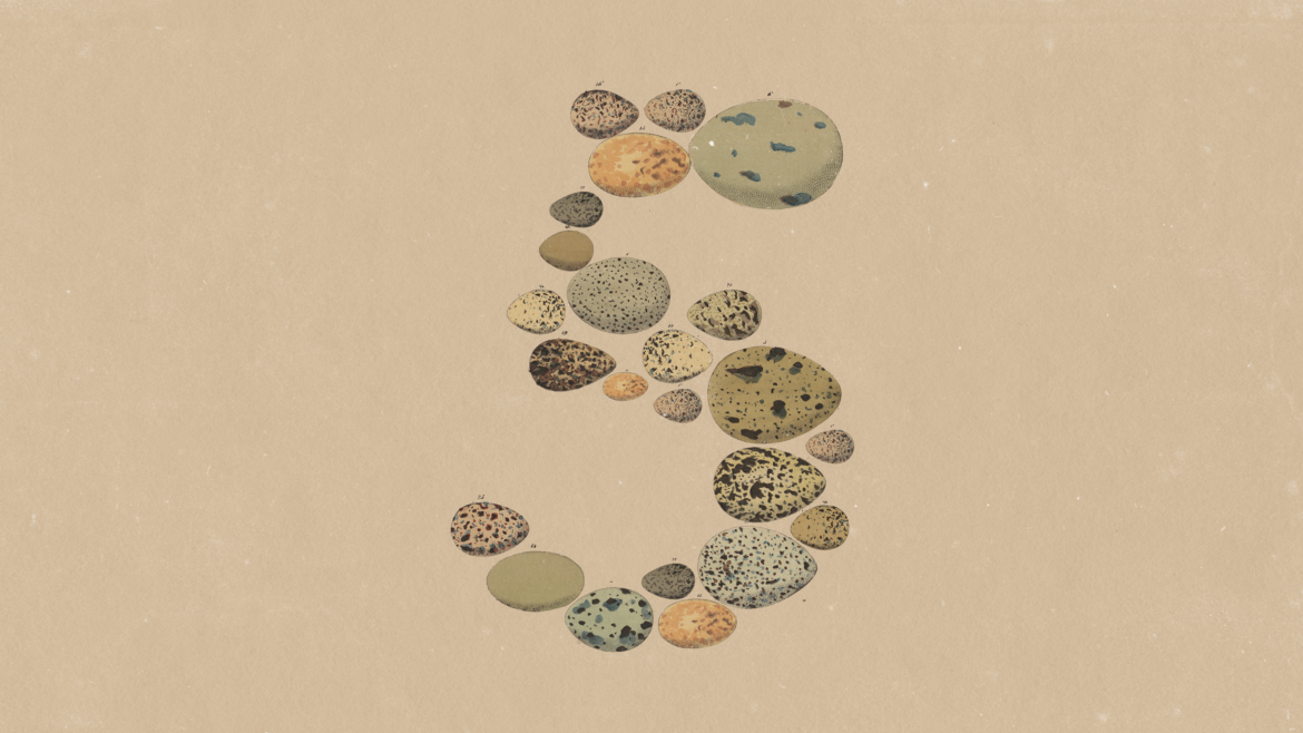Anthropic logo