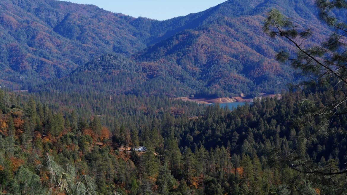 Abduction at Gumboot Lake Campground