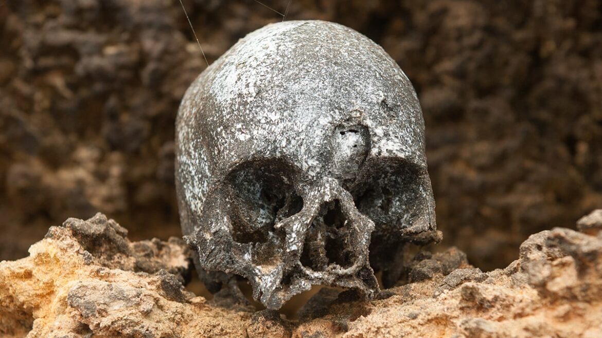 Chilean Mummies Provide First Genetic Proof Europeans Brought Smallpox