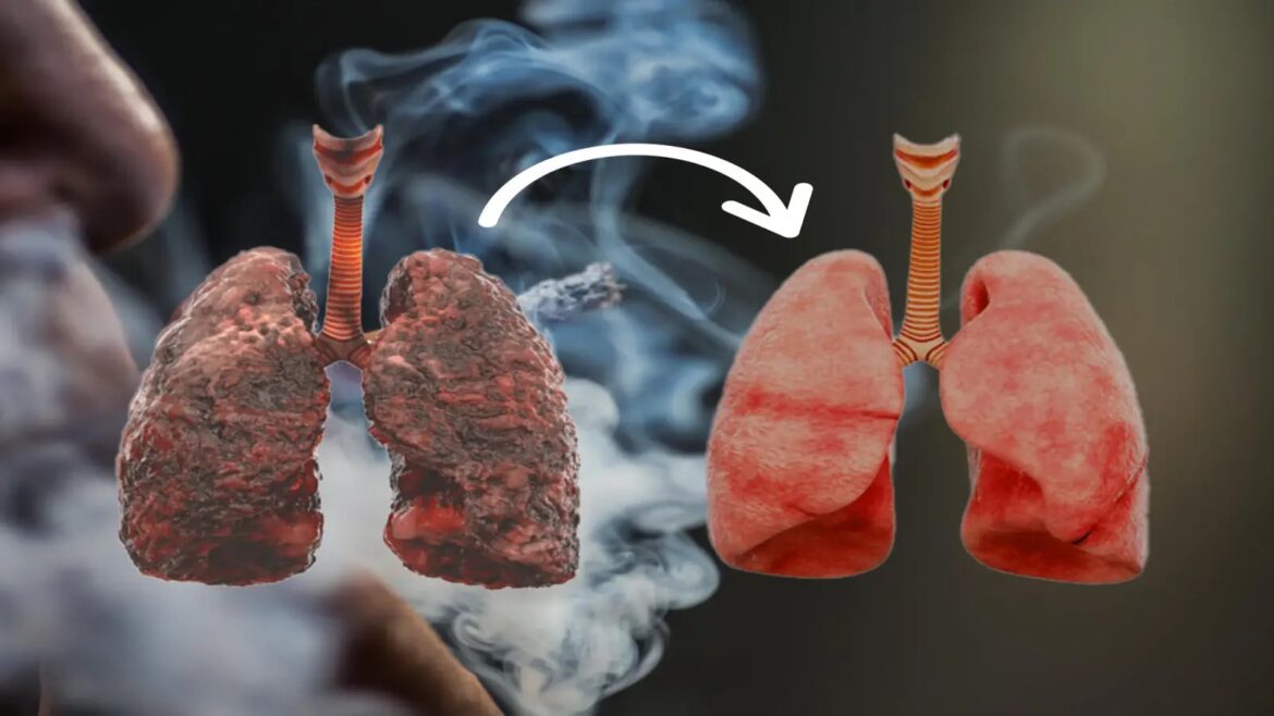 The Rise of Indoor Chemical Contaminants