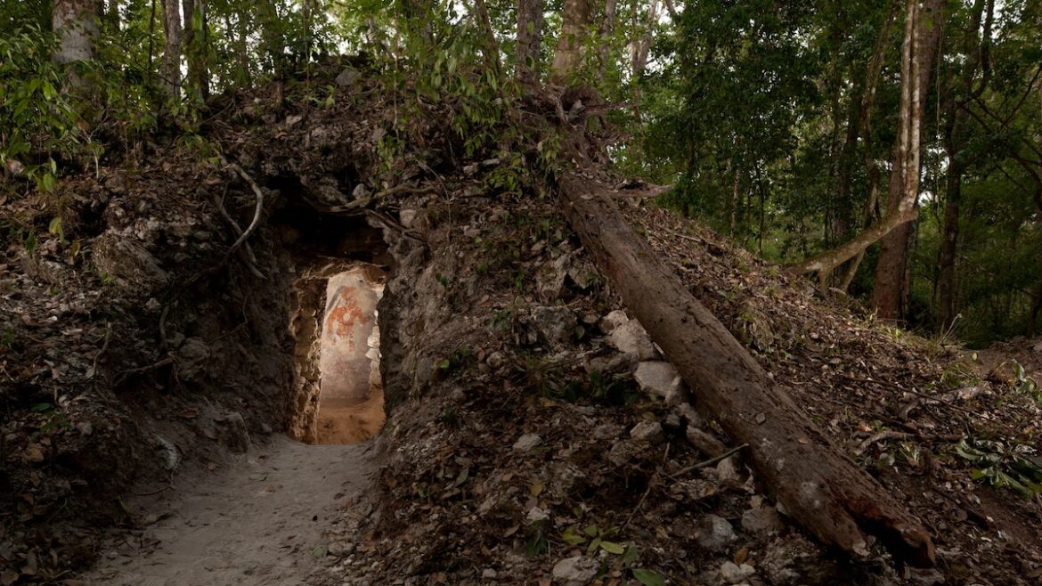 Decoding the Ancient Mind