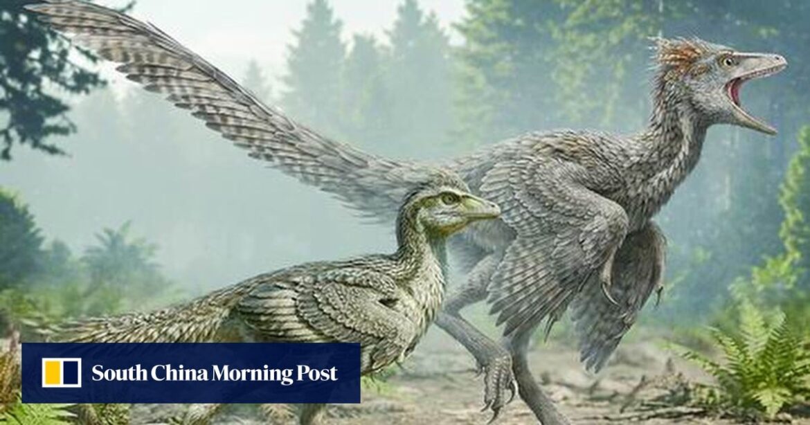 The Institute of Vertebrate Paleontology and Paleoanthropology Unearths Zhengheornis buyu