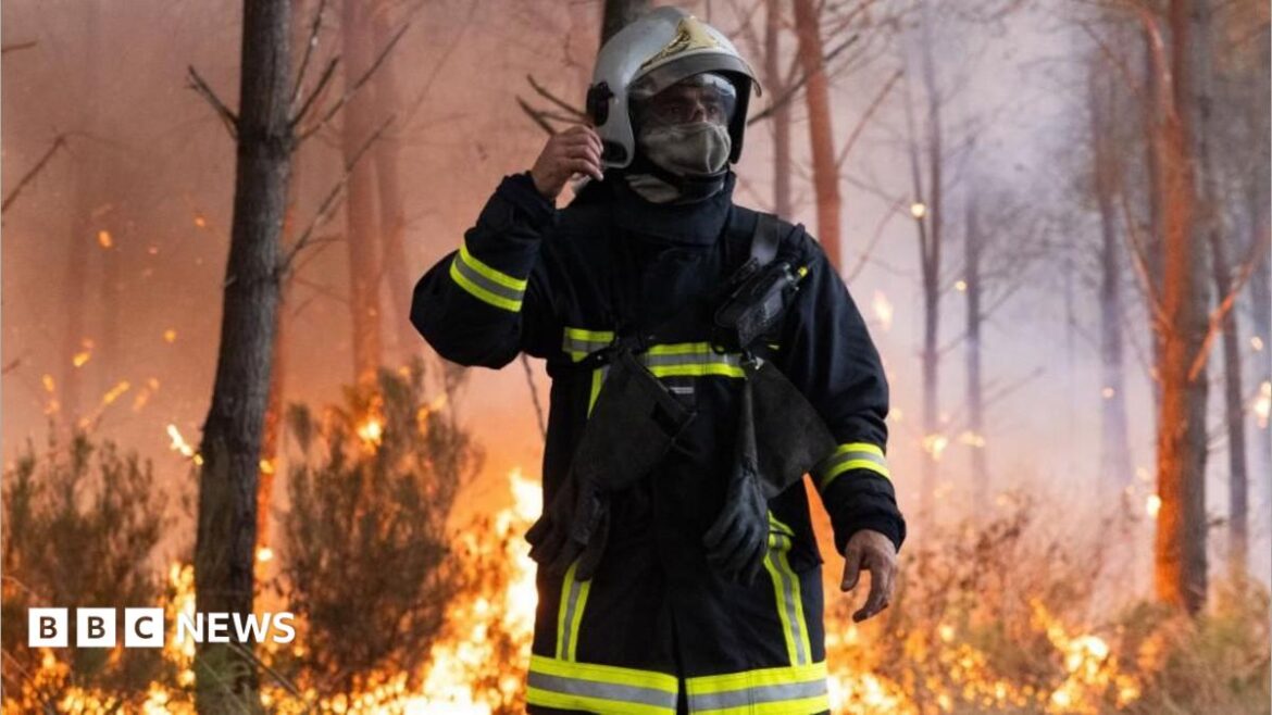 A French firefighter battles a wildfire in Marcheprime, near the south-western city of Bordeaux. Photo: 26 July 2026