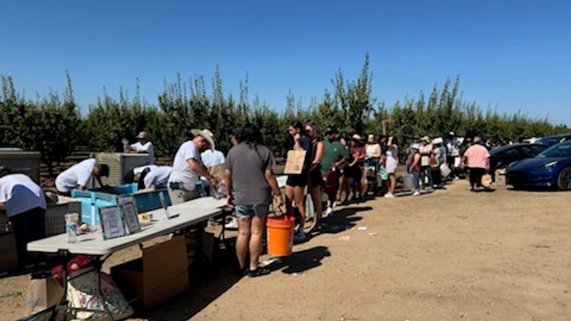 The Legal Dispute Over Nectarine Rights