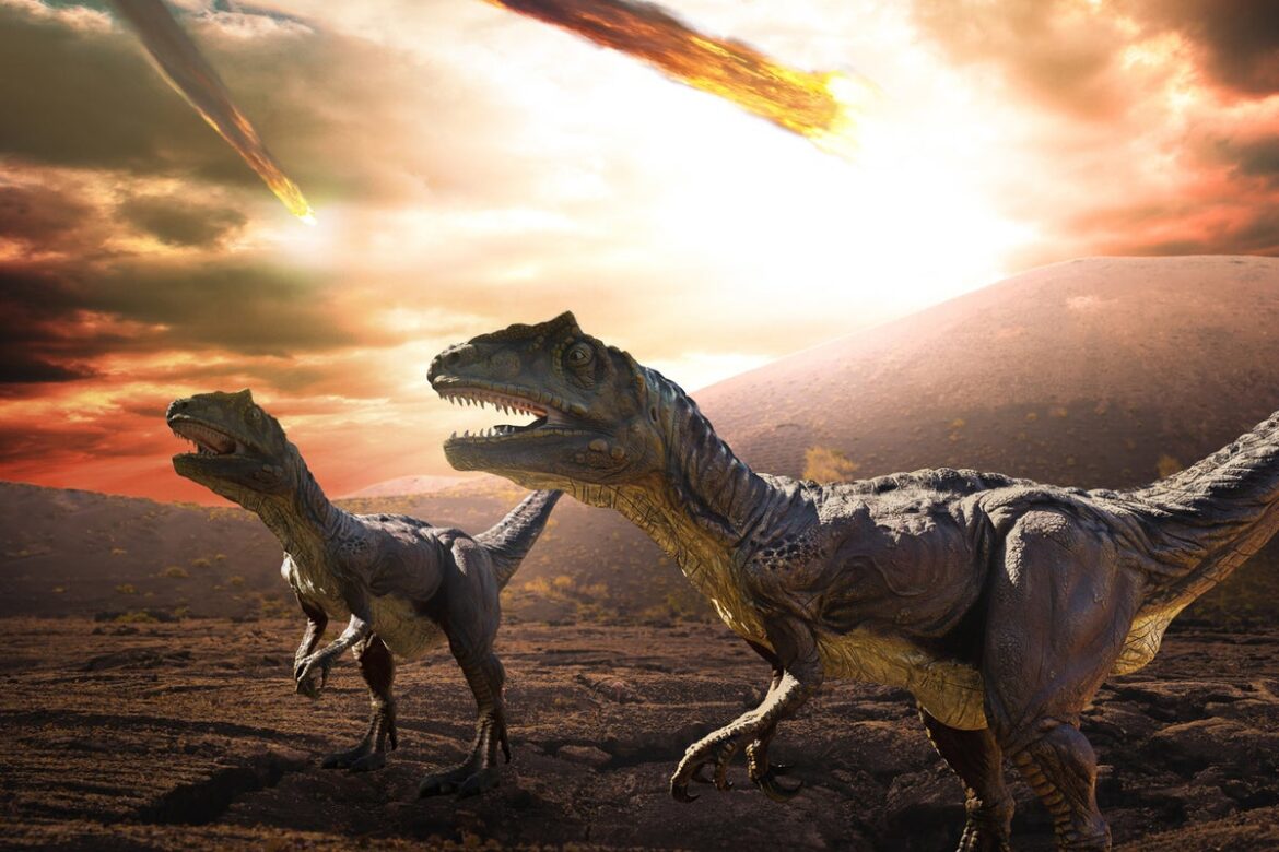 The Rare Meteorite Behind the Dinosaur Extinction