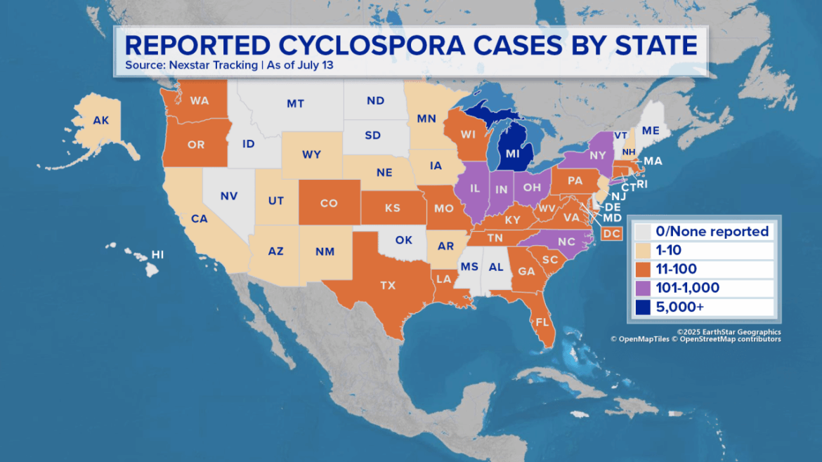 The Scope of the Cyclospora Outbreak