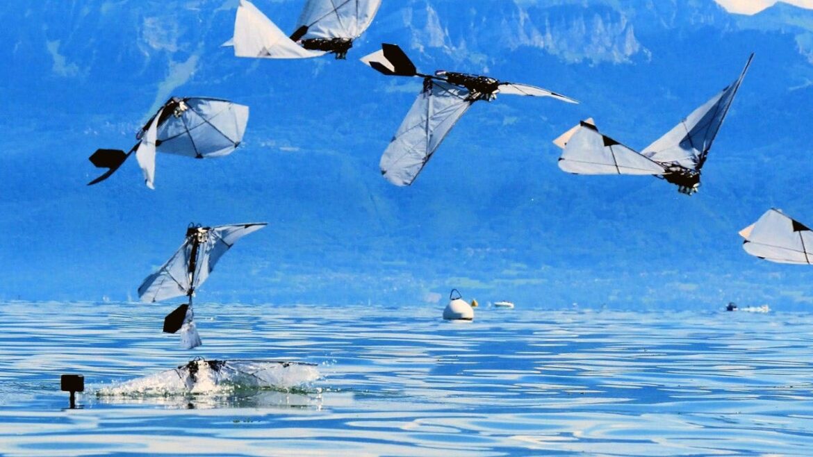 MIT and EPFL build robot bird that flies, dives and swims underwater