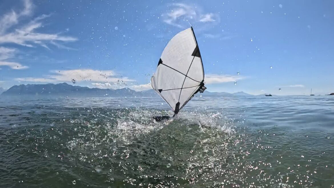 Designing a Bird-Scale Aerial-Aquatic Vehicle