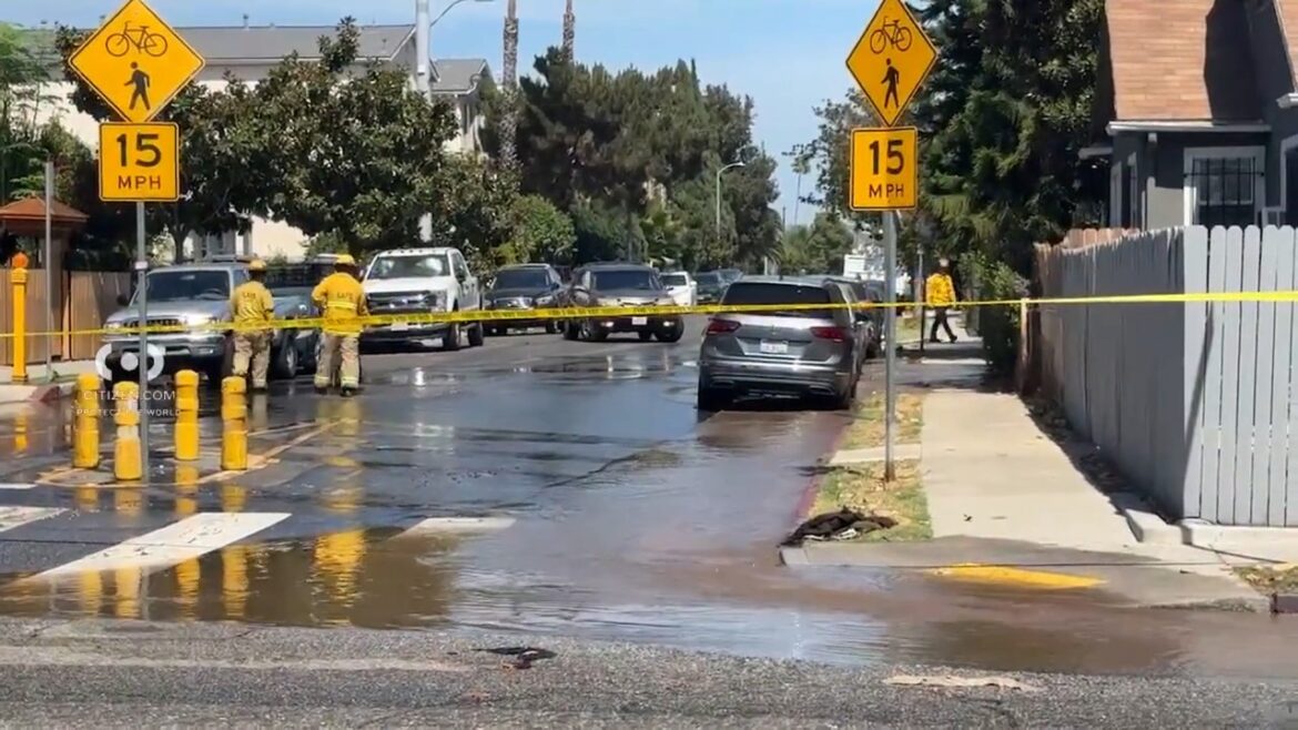 The flooding on Romaine Street in Hollywood