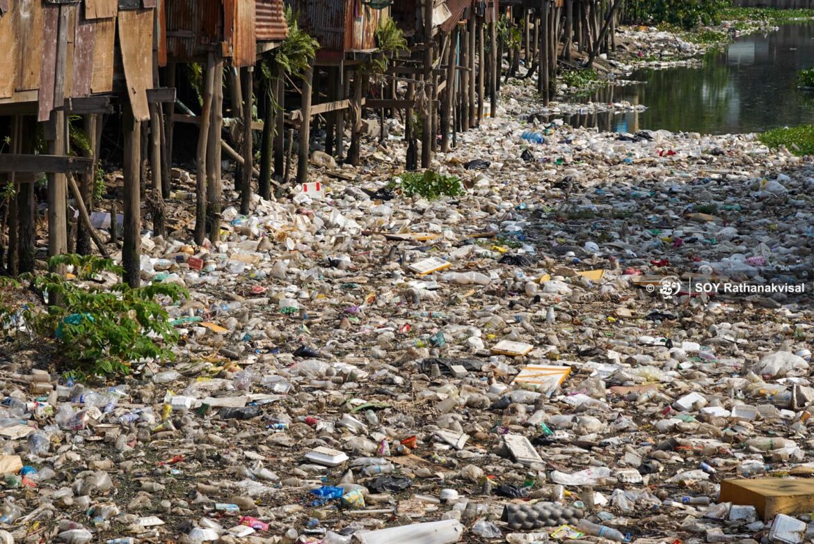 Polyethylene Microplastics Linked to Higher Fatty Liver Disease Risk