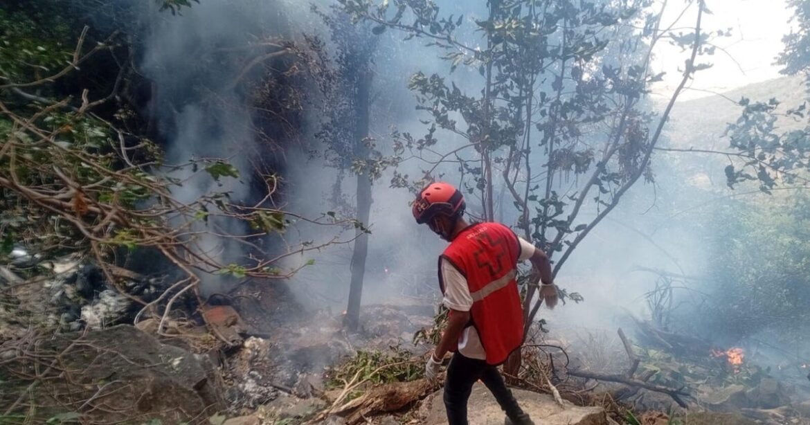 5 Americans, Including Telemundo Executive, Killed in Kenya Helicopter Crash
