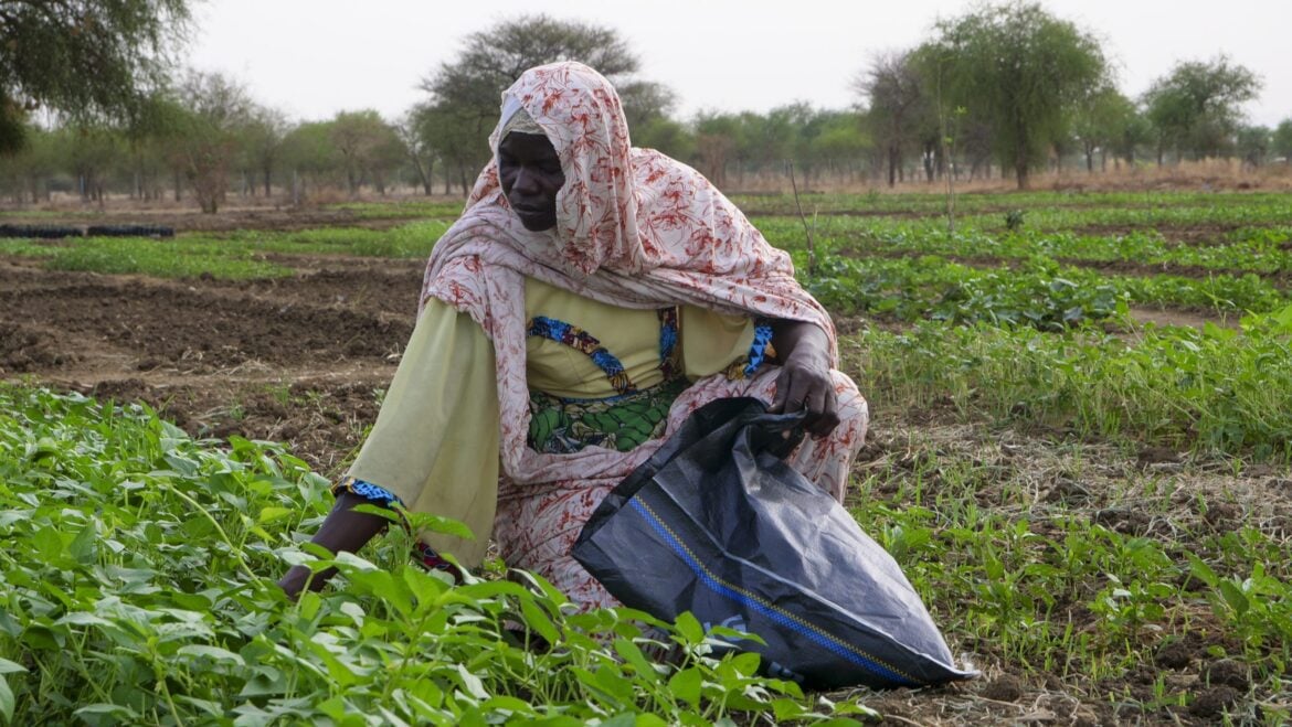 Sahel Resilience Initiative Named UN World Restoration Flagship