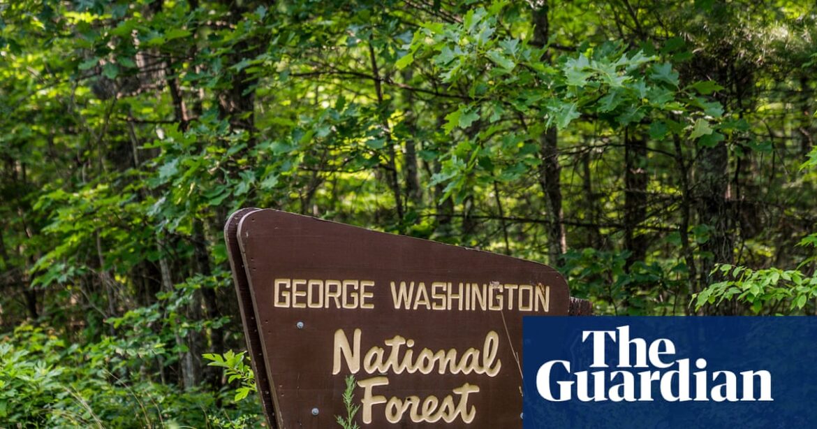 Trump Administration Proposes Scrapping 2001 Roadless Area Conservation Rule