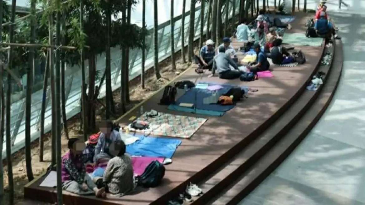 South Korea declares national disaster as record heatwave kills 23 people