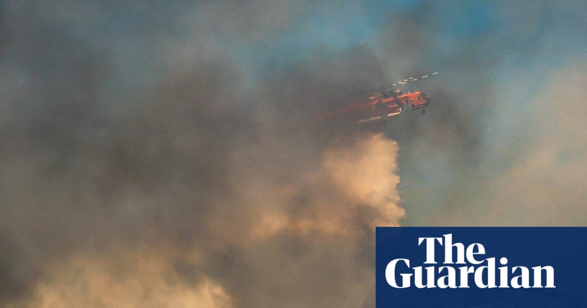 Belgium Battles Record Wildfire Near German Border as Rain Brings Relief