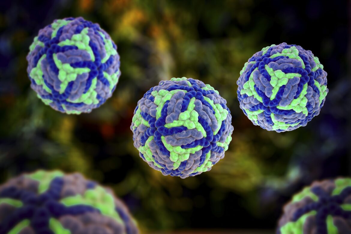 Nepal Reports 9 Japanese Encephalitis Deaths in Under a Month