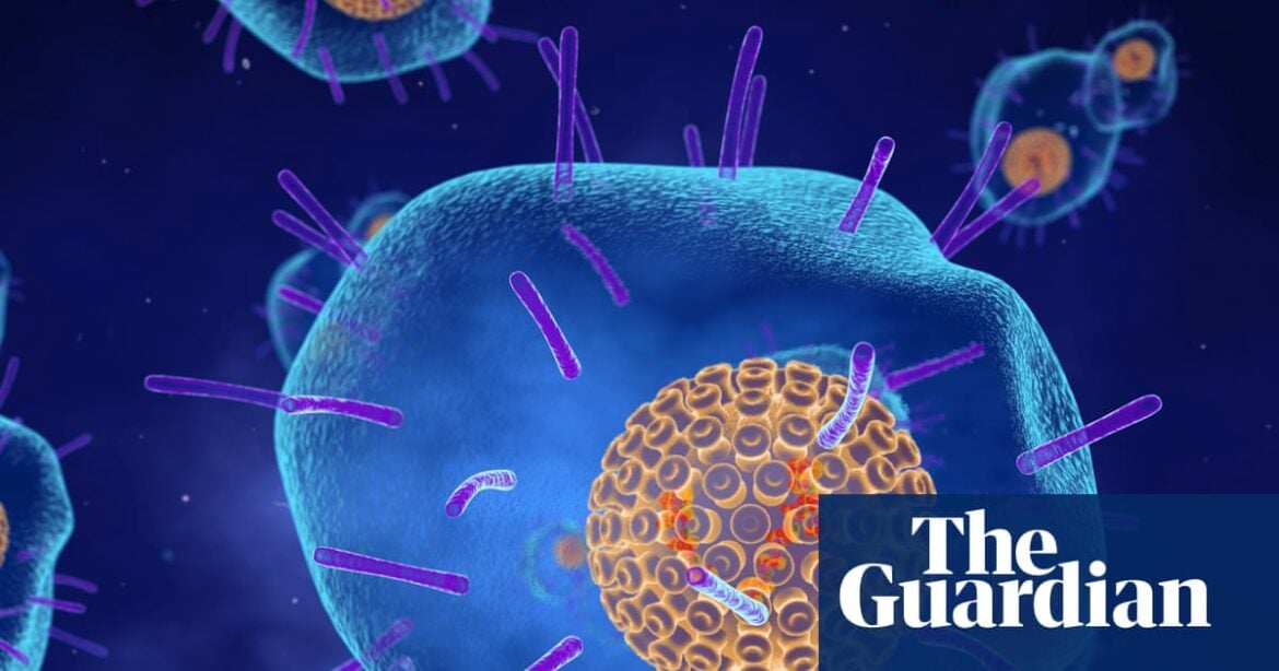 Shingrix Vaccine Linked to 12% Lower Risk of Heart Attack and Stroke