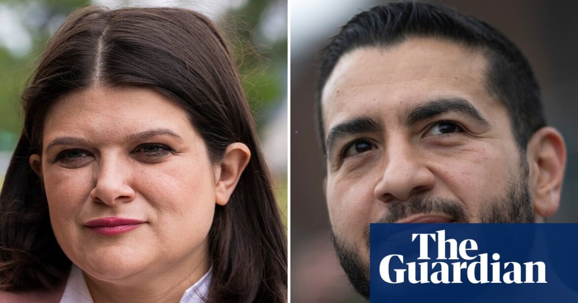 Michigan Senate Primary Tests Democratic Party Direction
