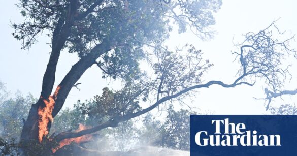 Timber Fire Forces Big Sur Evacuations and Highway 1 Closures