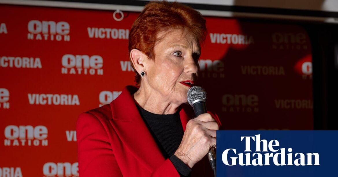 Pauline Hanson's political rise fueling racism, parliamentary inquiry hears