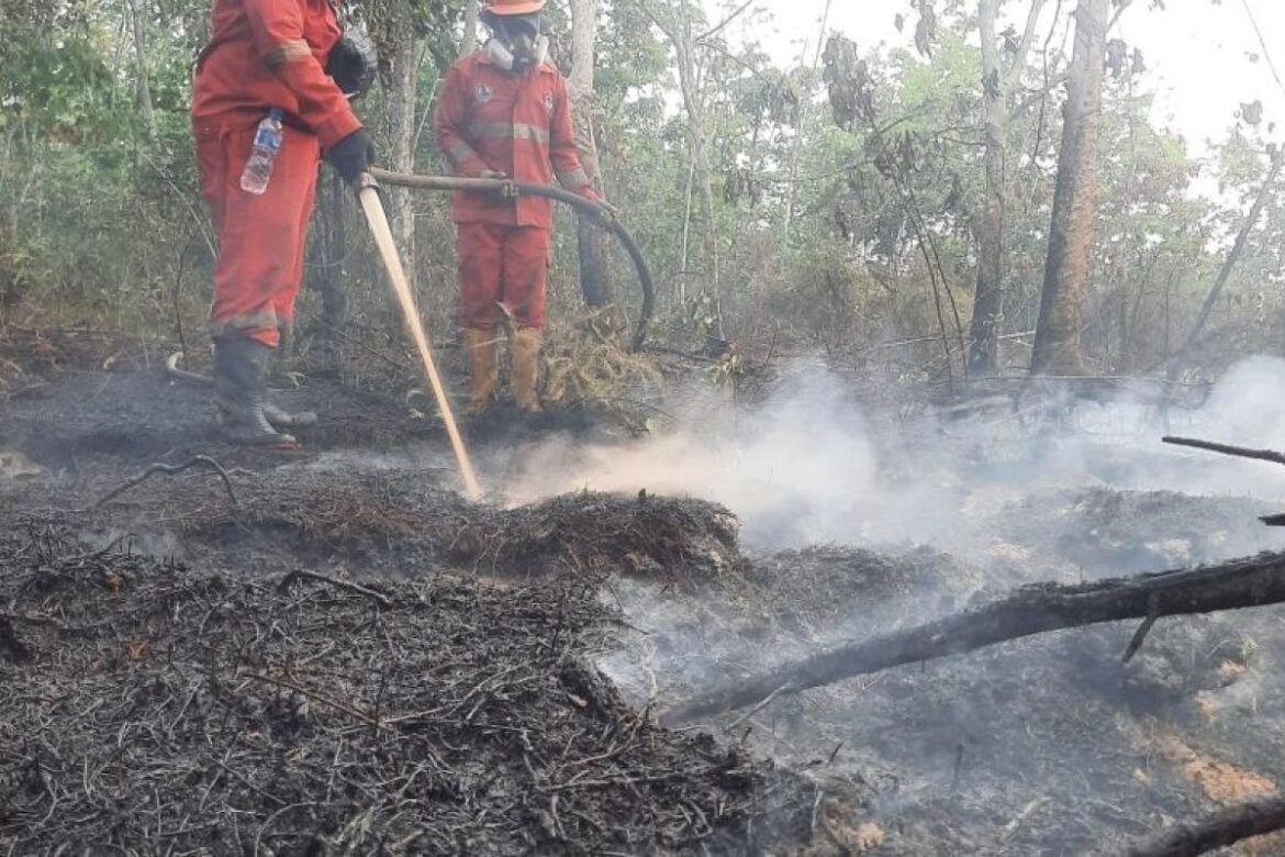 BNPB Deploys Helicopter Fleets to Fight Fires in Sumatra and Kalimantan