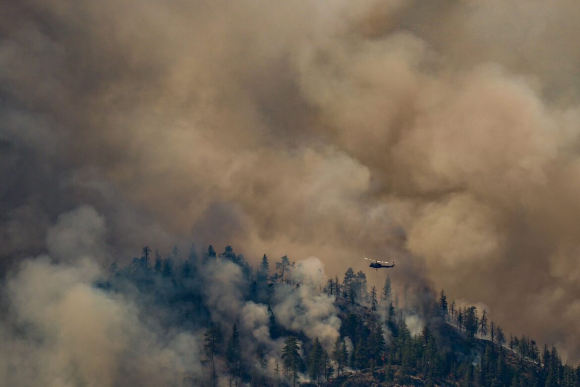 Climate Change Doubled Extreme Canadian Wildfire Risk, Study Finds