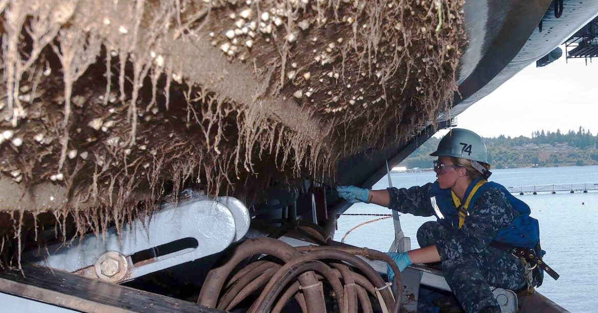 Strait of Hormuz Closure Risks Global Biological Invasion via Ship Hulls