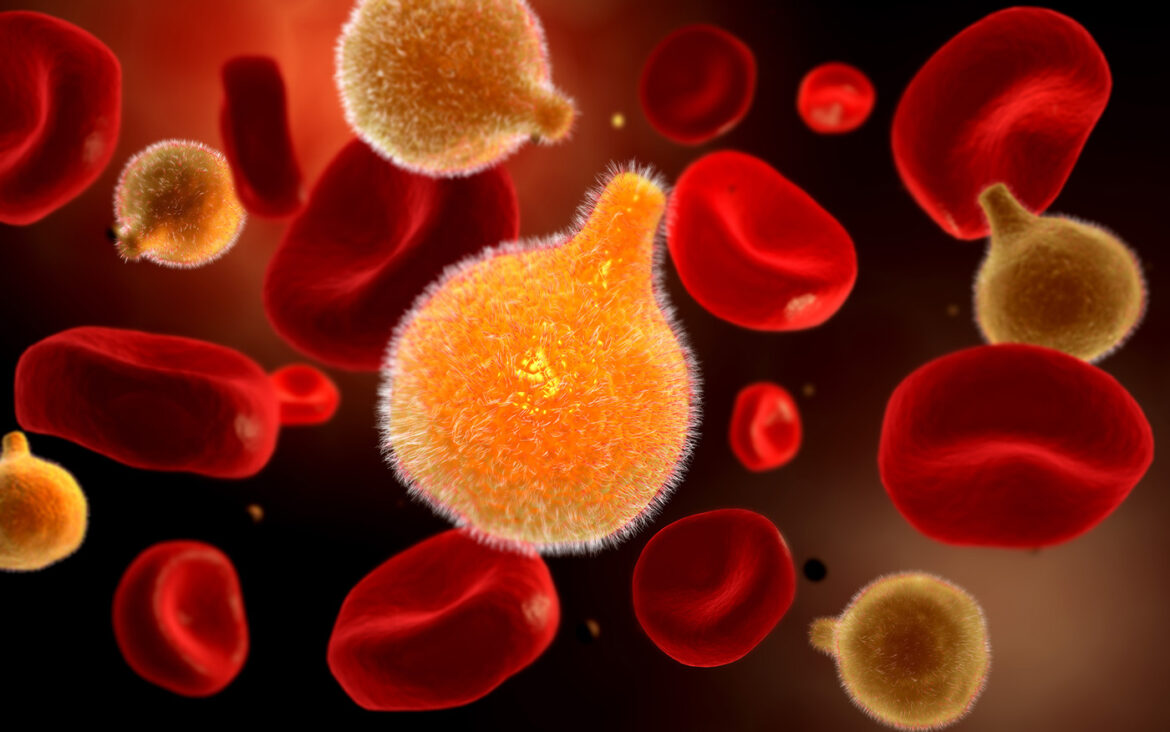 Malaria parasite mutations in Uganda threaten front-line drug effectiveness