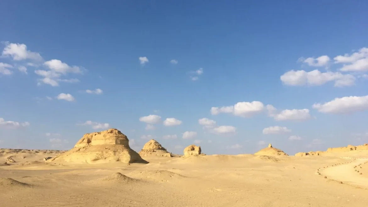 Ancient Shark Fossils Discovered in Egyptian Desert Reveal Prehistoric Sea