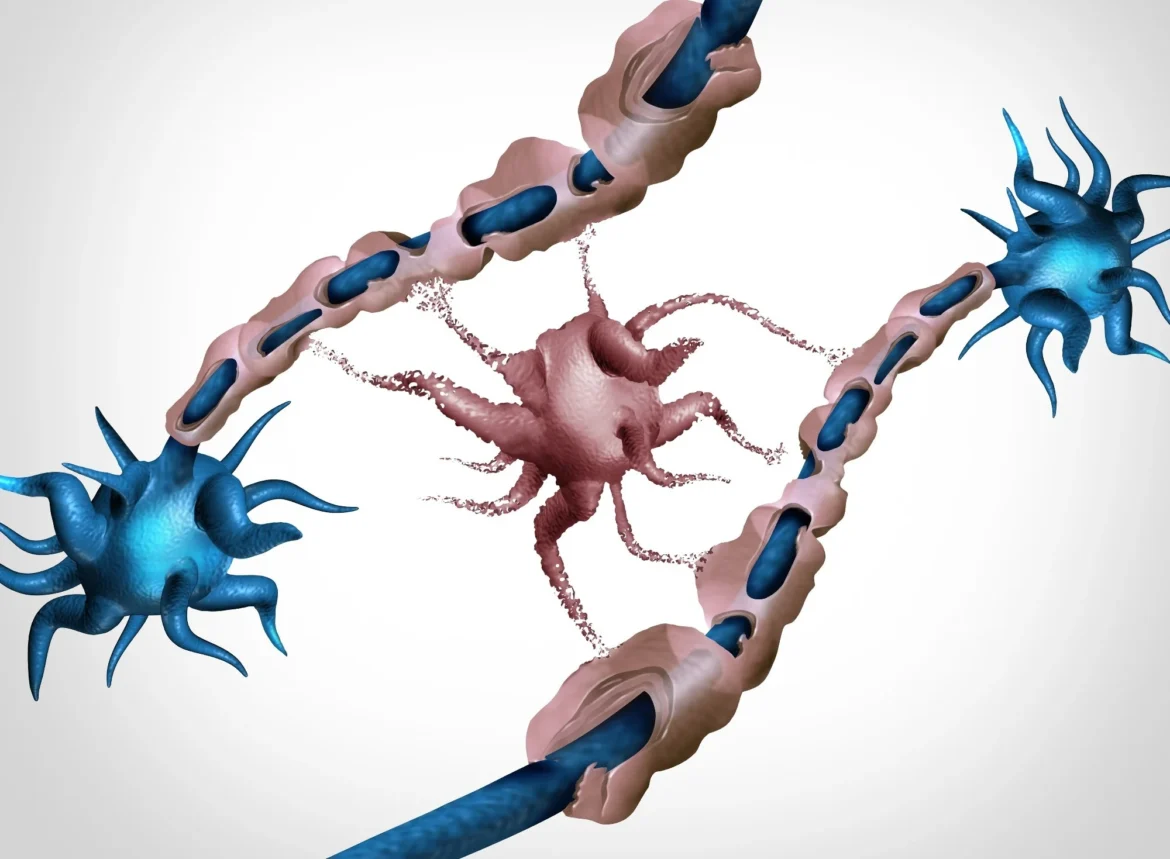 Dysfunctional Oligodendrocytes May Drive Age-Related Cognitive Decline