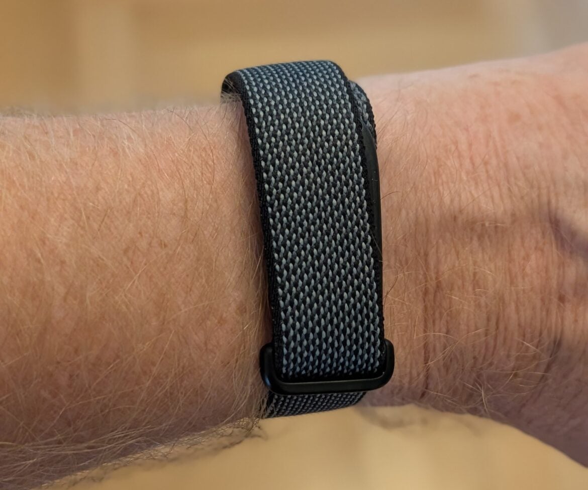 Google Fitbit Air