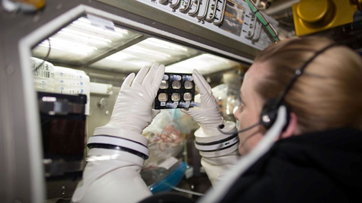 Heart Muscle Cells Remain Unaffected by Microgravity in Spaceflight