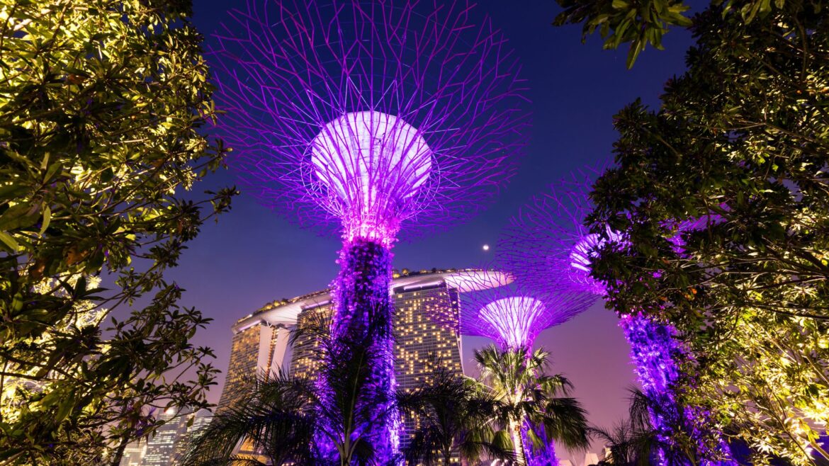 Gardens by the Bay: Singapore's $700M Landmark Features 160-Foot Supertrees