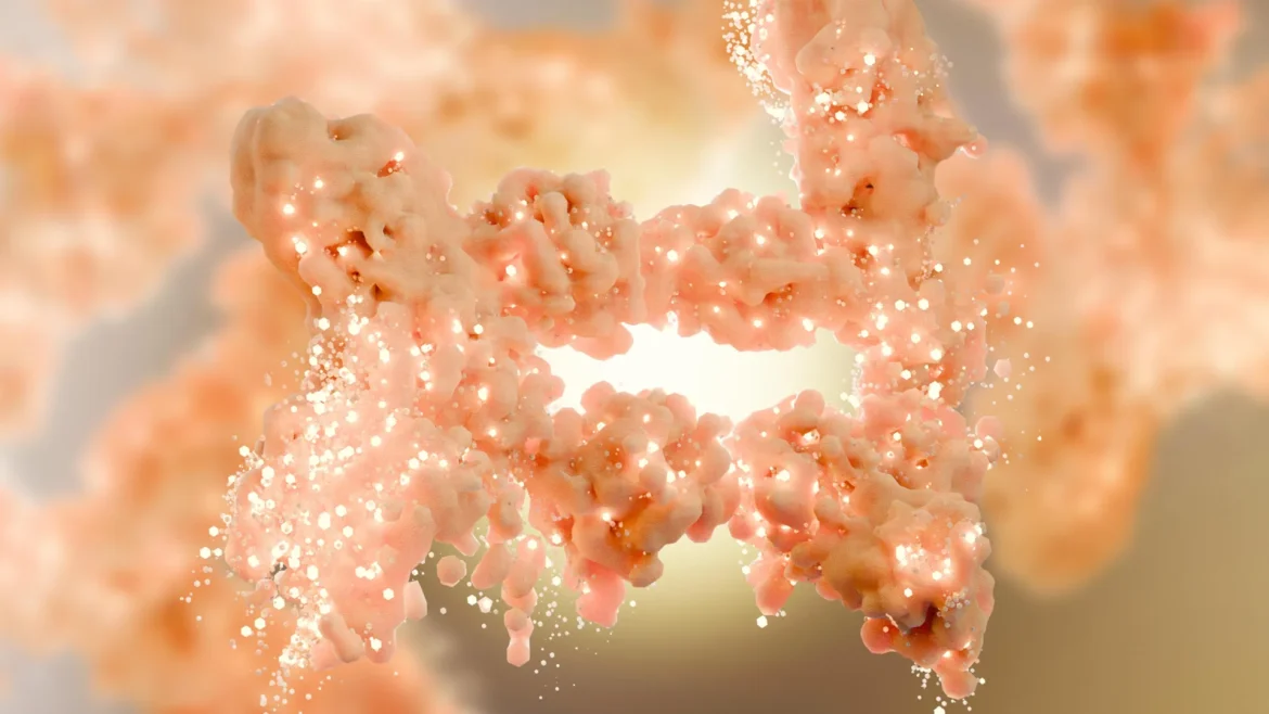 TOFA Compound Identified as Potential Fat Burner Without Muscle Loss