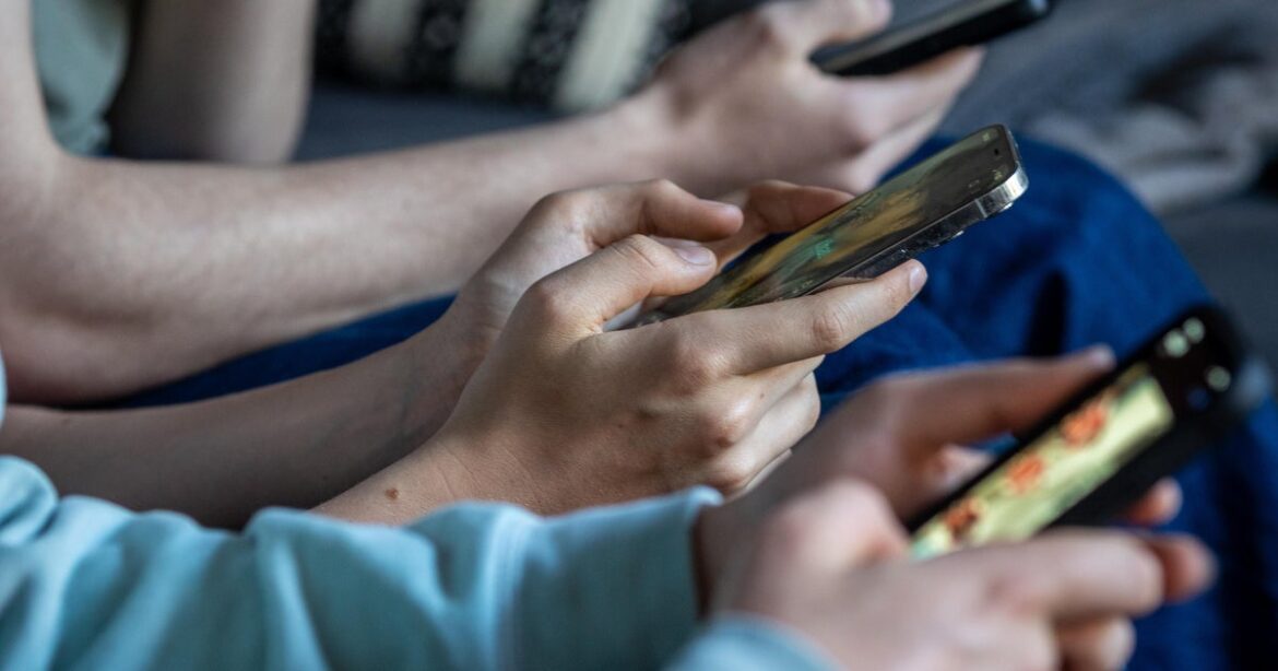 France's Top Court Blocks Social Media Ban for Children Under 15