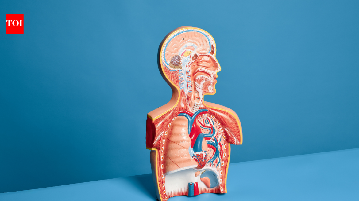 Lung Cancer: Doctor Reveals Hidden Risks in Air, Home and Daily Routine