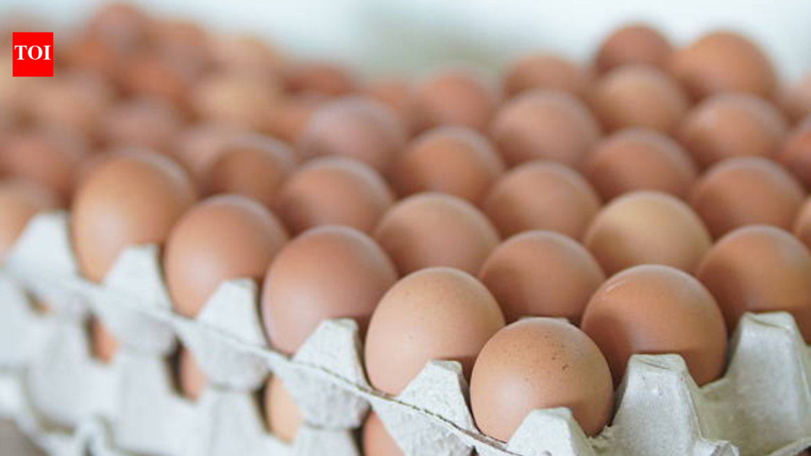UK Salmonella Outbreak Linked to Imported Eggs Causes One Death and 200+ Cases