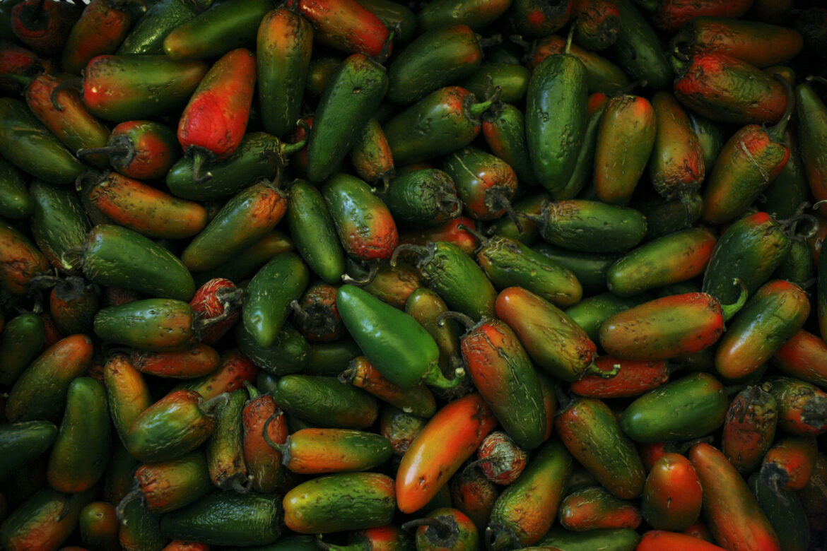 Jalapeño Salmonella Outbreak Sickens 431 People Across 32 US States