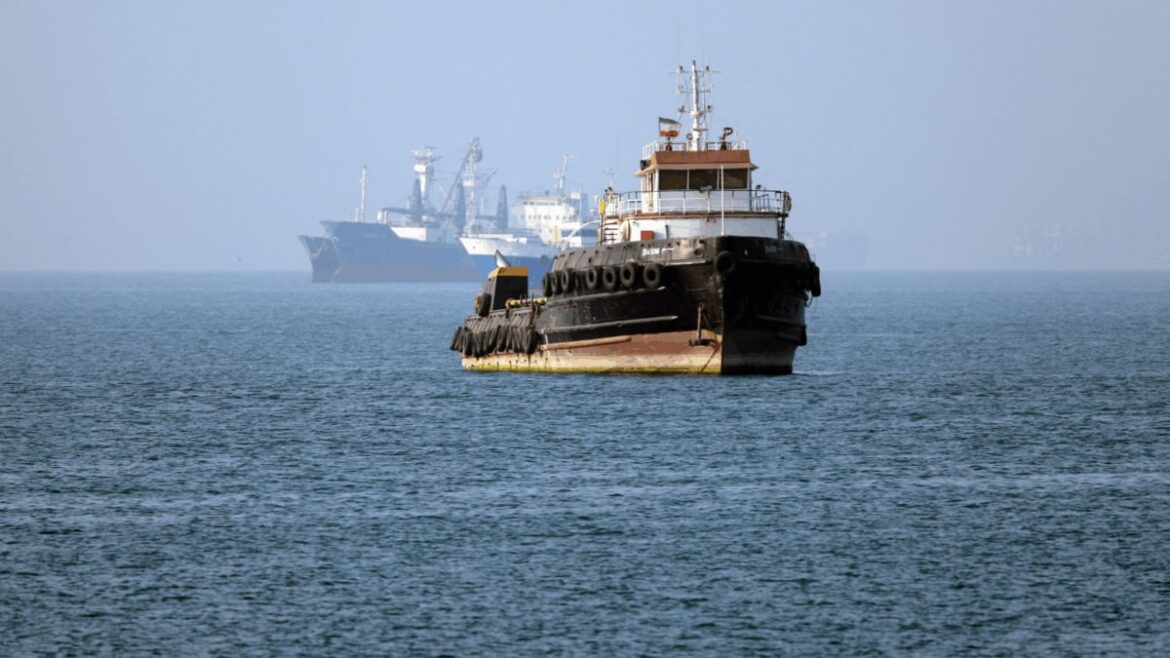 Commercial ships seen passing through the war-hit Strait of Hormuz. (Source: AFP)