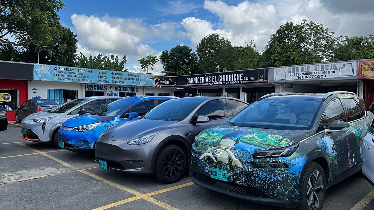 Why are Norwegians buying more Chinese EVs despite growing scepticism