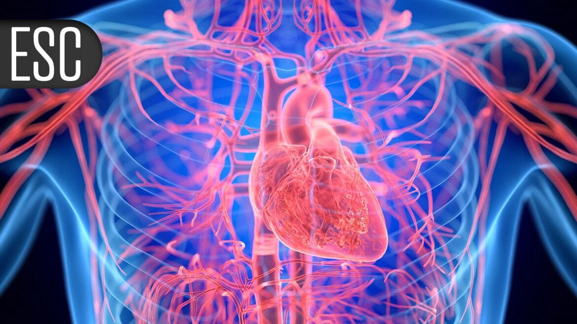 POET-II Trial: Tailored Antibiotics Shorten Endocarditis Treatment by 15 Days