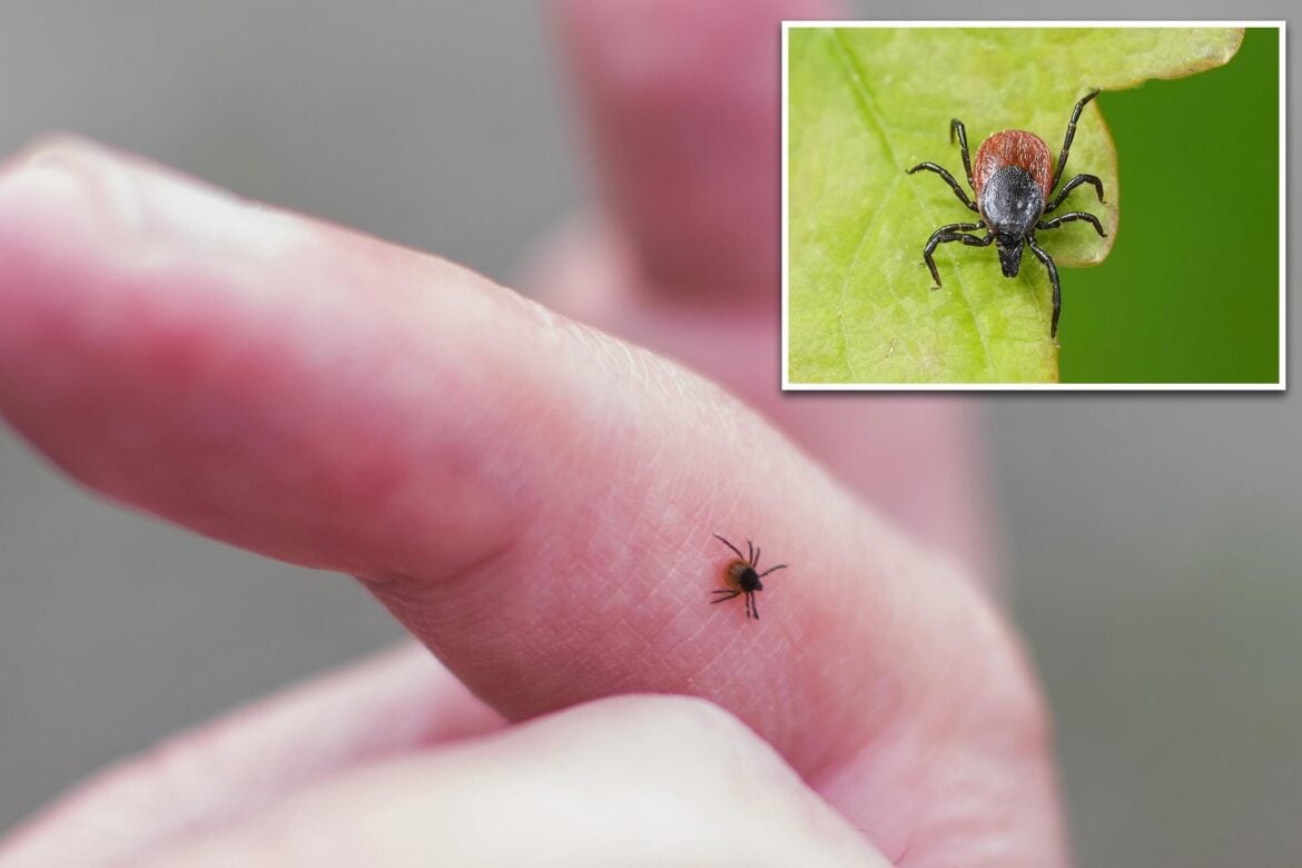 New Tick-Borne Virus Linked to Flu-Like Illness Discovered in China