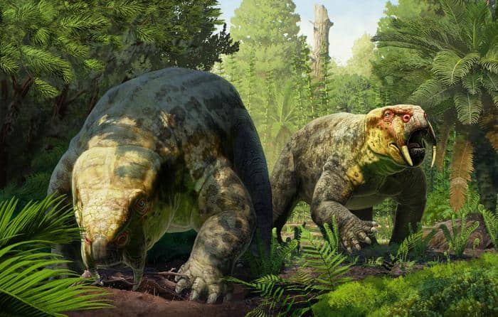 New Prehistoric Species Discovered in London Museum After 60 Years