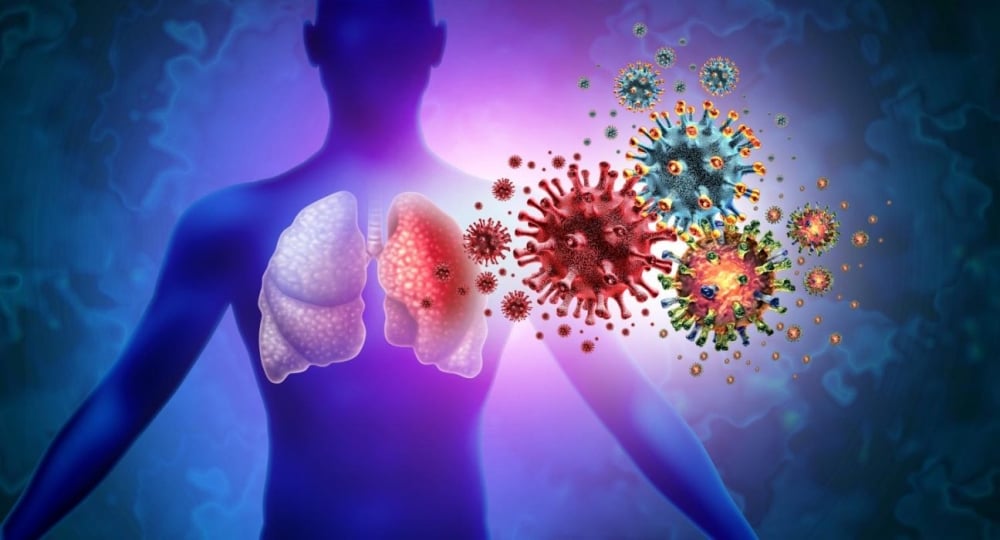 MIT Researchers Develop Non-Invasive Technique to Detect Aging Cells