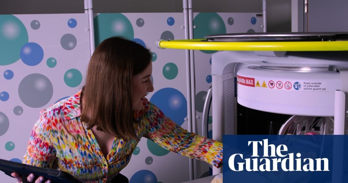 Mild Pregnancy Anaemia Linked to Smaller Infant Brain Volumes, Study Finds