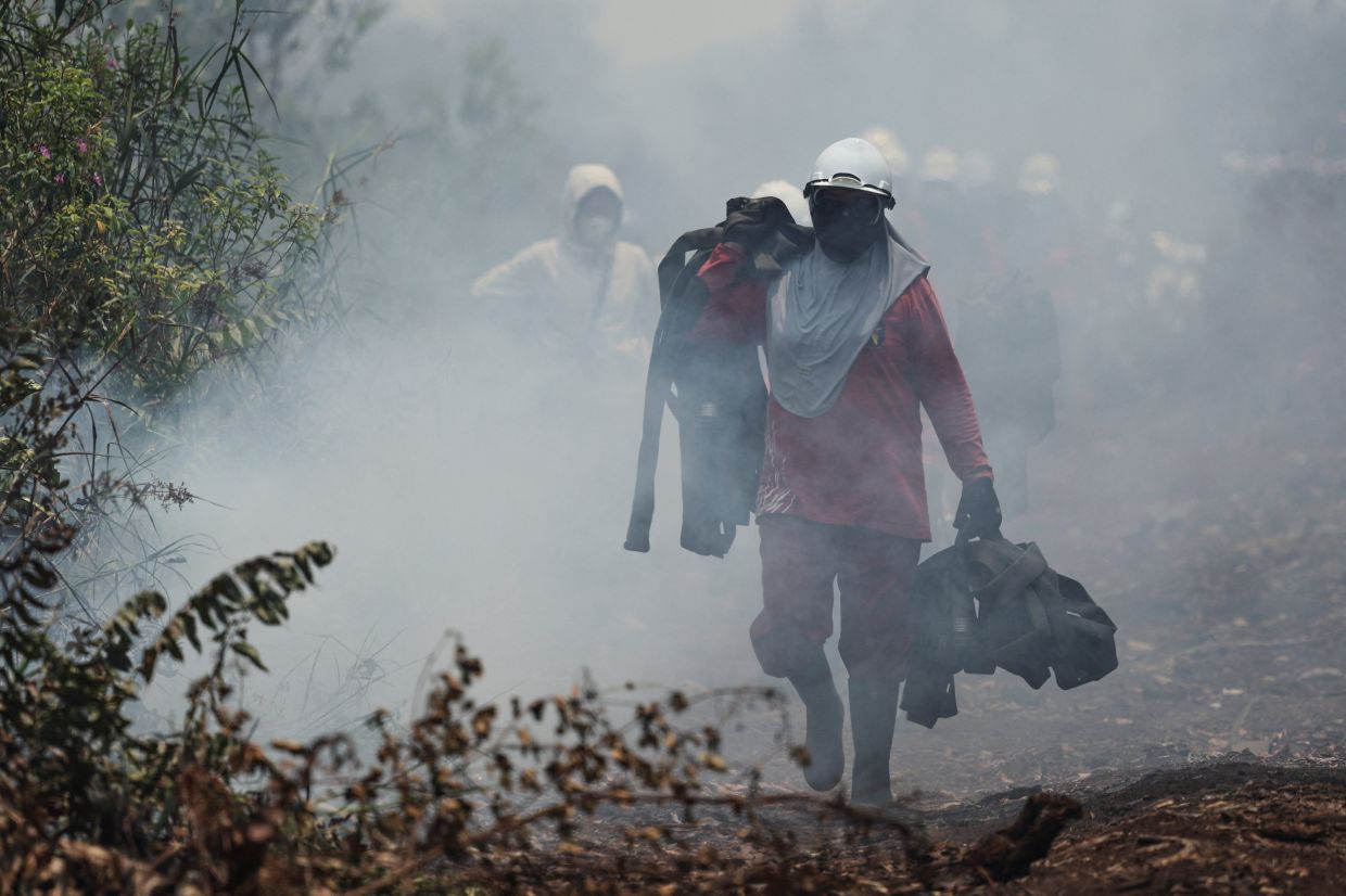 Indonesia President Prabowo turns to experts to tackle peatland fires after swipe at researchers